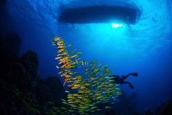 Nikon D80, 10.5 mm lens south safari in egypt by Andy Kutsch 
